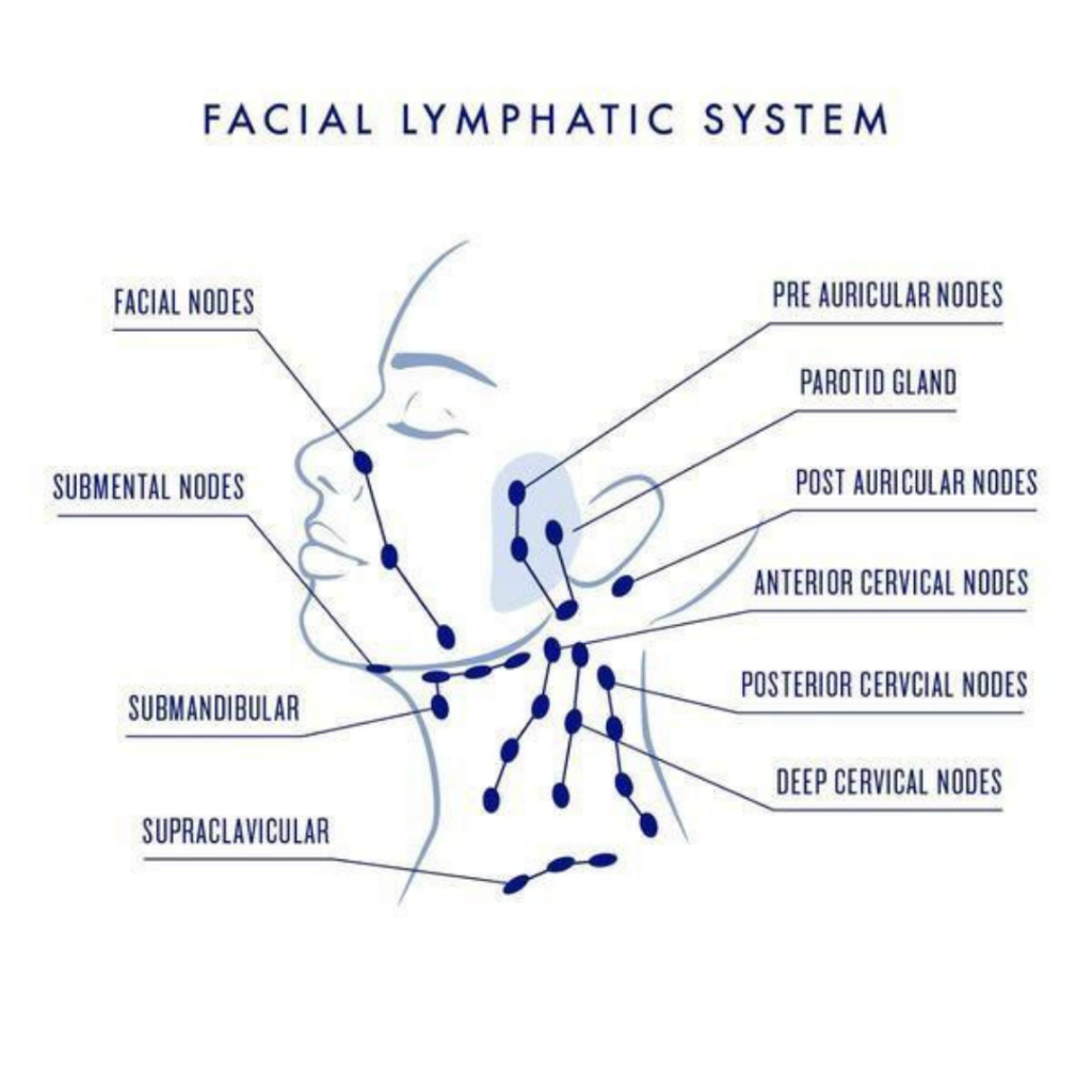 The Korean Lymphatic Massage Technique